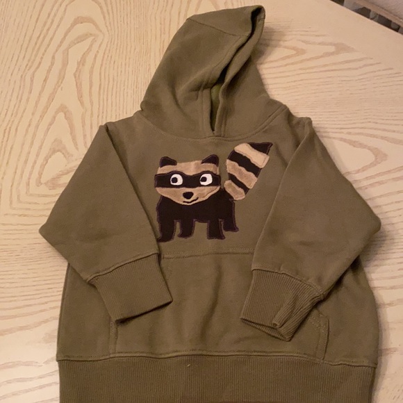 NWT Gymboree boys size2 raccoon sweater & hoodie - Picture 5 of 8